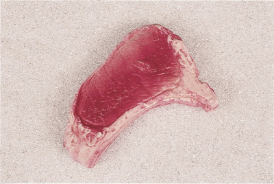 Atrapa beefsteak syrový 22x15cm - Gastro příslušenství - Atrapy potravin - Atrapy Maso, Masné výrobky