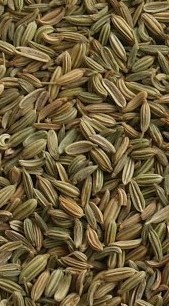 Fenykl celý 100g Kasia - - Koření - Jednodruhové koření - Jednodruhové koření do 100g
