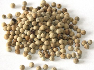 Pepř bílý celý 1kg - - Koření - Jednodruhové koření - Jednodruhové koření 1kg