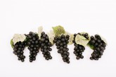 Atrapa Hroznové víno tmavé 16cm - Gastro příslušenství - Atrapy potravin