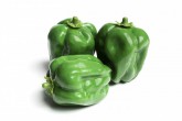 Atrapa Paprika zelená 1 kus - Gastro příslušenství - Atrapy potravin