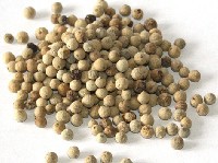Pepř bílý celý 100g - - Koření - Jednodruhové koření - Jednodruhové koření do 100g