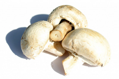 Vývar houbový 1kg bez lepku - - Koření - Kořenící směsi - Kořenící směsi 1kg