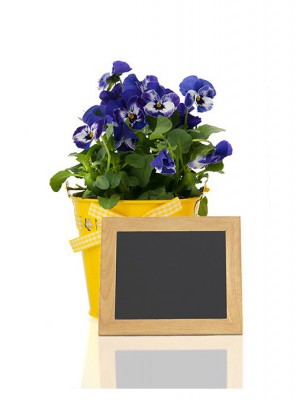 Securit® Nástěnná popisovací tabule WOODY s popisovačem, 20x24cm, TEAK - Barový, restaurační servis a hotelové doplňky - Nabídkové tabule nástěnné