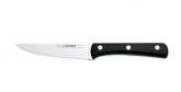 Steakový nůž s plastovou střenkou Giesser 8750 p 12 - Gastro příslušenství - Příbory
